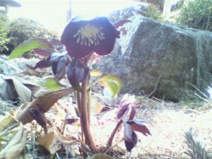 2011040513440000.jpg