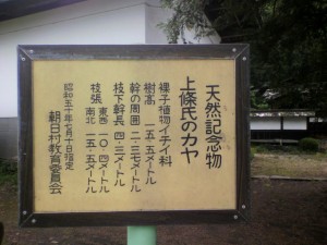 2011072814330000.jpg